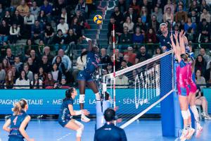 (Miniature) Le Journal des Bleues : Bah MVP